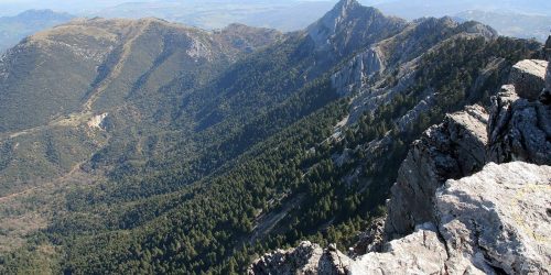 TORREÓN SIERRA DE GRAZALEMA