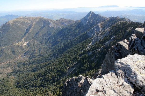 TORREÓN SIERRA DE GRAZALEMA