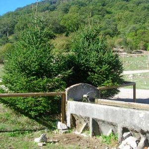 Sendero Llanos del Rabel - RSG Aventura