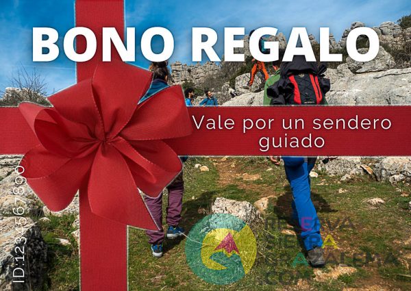 Bono-regalo-Senderismo-Reserva-Sierra-Grazalema