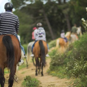 Ruta en caballo en Parque Natural de la Sierra de Grazalema