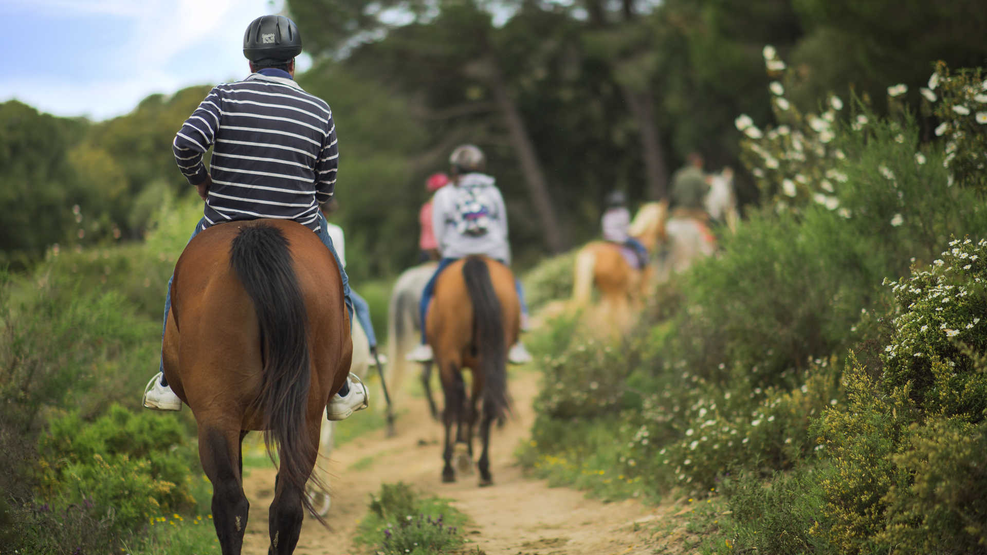 Ruta en caballo en Parque Natural de la Sierra de Grazalema